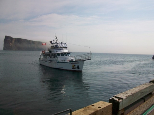 Croisière au Rocher Percé et à l'Ile Bonaventure (avec arrêt à l'Île) / Excursion aux baleines (en bateau ou en zodiac) / Pêche en haute mer